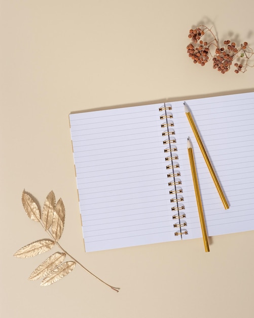 Top view of open school notebook with blank pages and pencils for writing notes Creative workspace