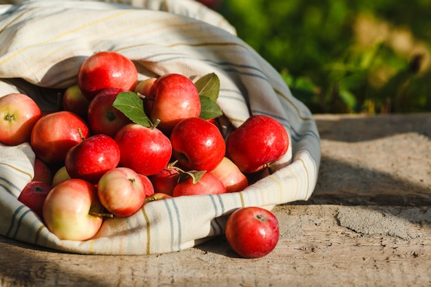 top view organic apples