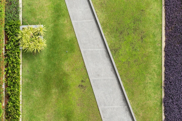 Top view of park, Natural grass texture