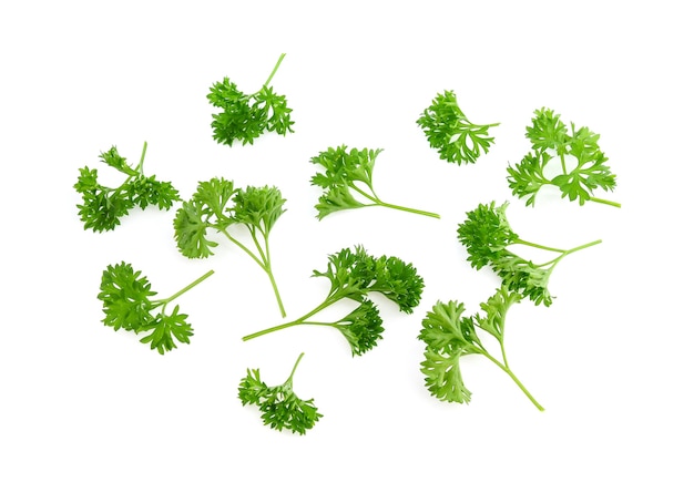 Top view of parsley and pepper isolated on white background