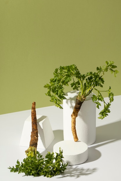 Top view of a parsnips