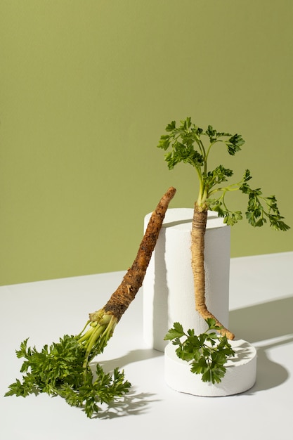 Top view of a parsnips