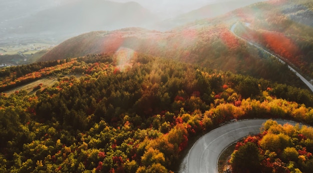 Top view photo of a forest road in autumn