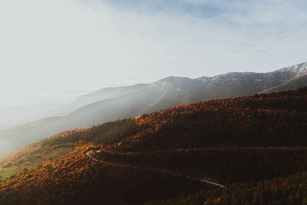 Top view photo of a forest road in autumn