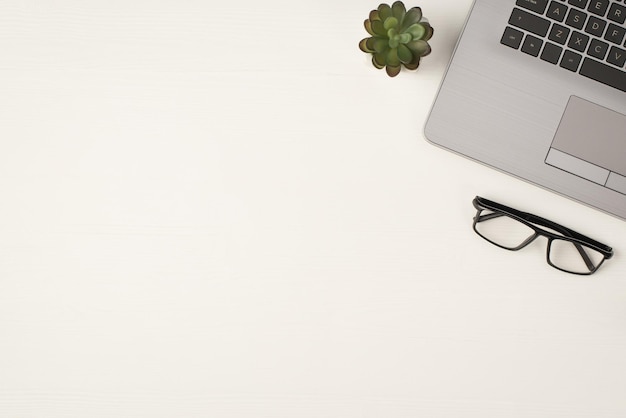 Top view photo of laptop glasses and flowerpot on isolated white wooden table background with copyspace