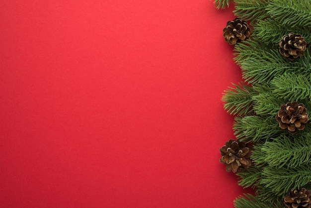 Top view photo of pine branches with pine cones on isolated red background with empty space