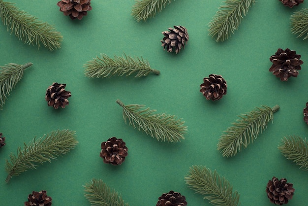 Top view photo of pine twigs and cones on isolated green background