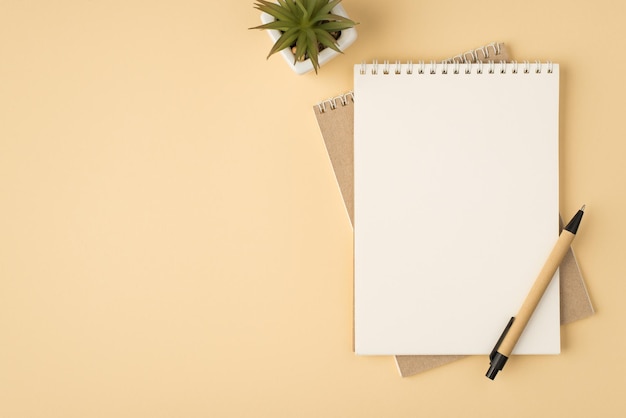 Top view photo of two organizers pen and plant on isolated beige background with copyspace