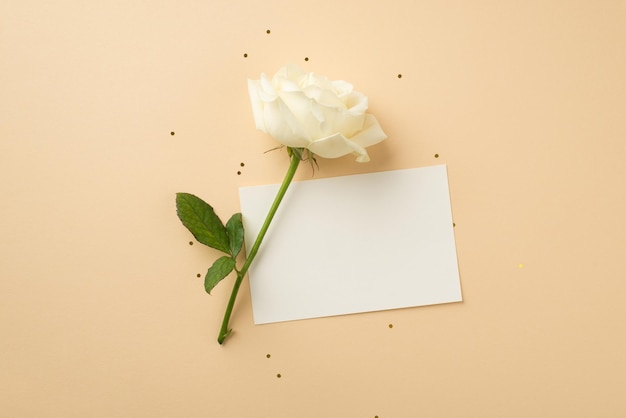 Top view photo of white rose card and shiny sequins on isolated beige background with blank space