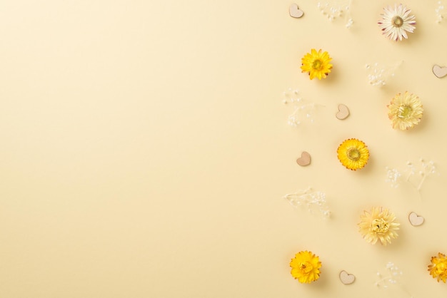 Top view photo of woman's day composition yellow and white field flowers and hearts on isolated beige background with blank space