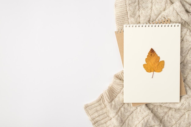 Top view photo of yellow autumn leaf on notebooks and knitted pullover on isolated white background with copyspace