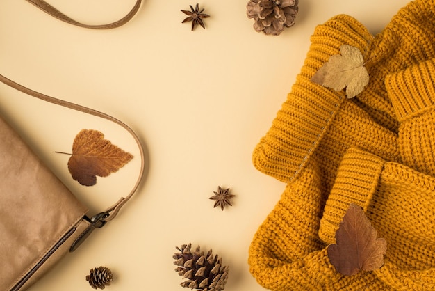 Top view photo of yellow sweater leather bag autumn brown leaves anise and pine cones on isolated pastel beige background