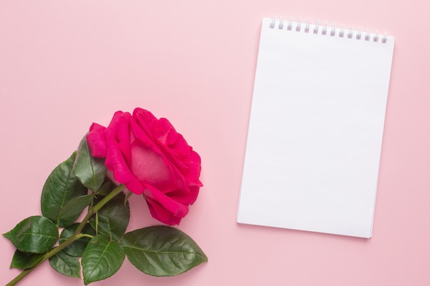 Top view of pink rose with notebook