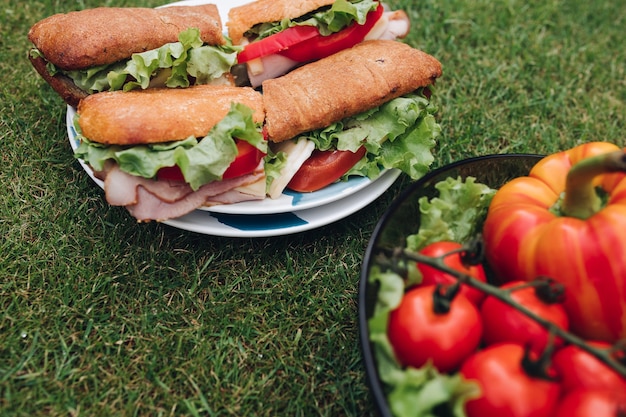 Top view of plate of homemade tasty sandwiches made from home bread and fresh vegetables. Bowl of healthy eco veggies on the grass.