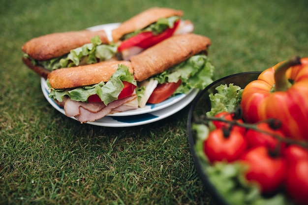 Top view of plate of homemade tasty sandwiches made from home bread and fresh vegetables. Bowl of healthy eco veggies on the grass.