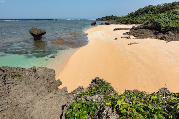 Top view of a pristine beach, smooth sands, vegetation over coastal rocks, emerald green sea.