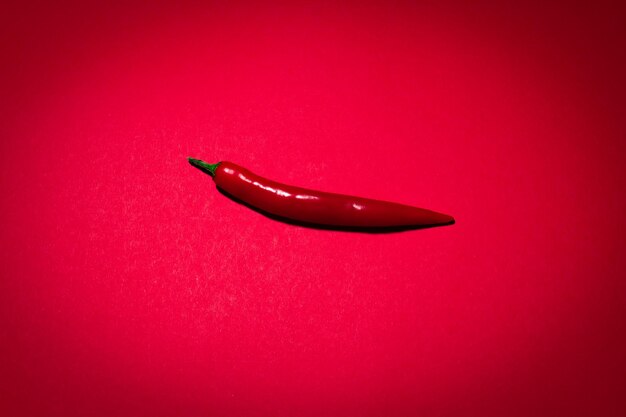 Top view of red chili hot pepper on the red surface