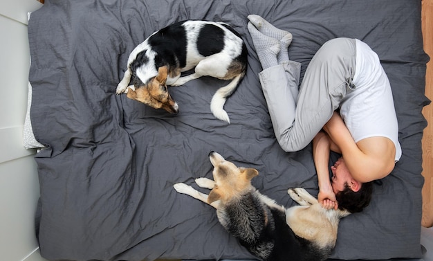 Top view of relaxed young man in home clothes sleeping with mongrel dogs on bed with gray sheet