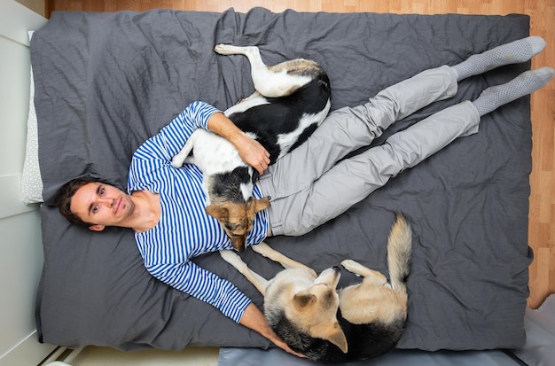 Top view of relaxed young man in stripy shirt hugging and sleeping with mongrel dogs on bed with gray sheet