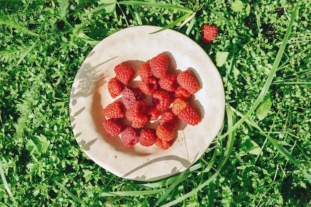 Top view of ripe raspberries in handmade ceramic plate on green grass