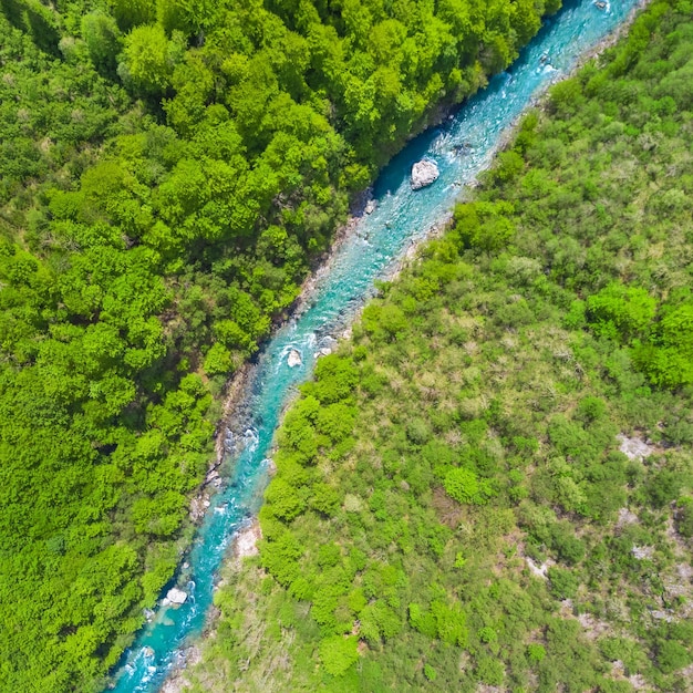 Top view of the river in the mountains surrounded by a green forest