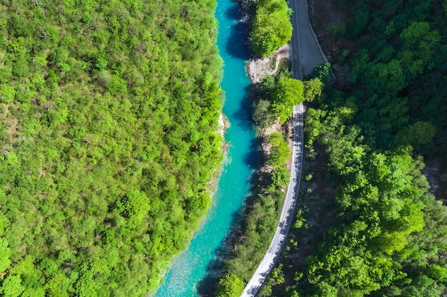 Top view of the river in the mountains surrounded by a green forest