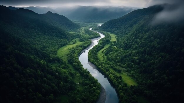 Top view of river with mountain and forest