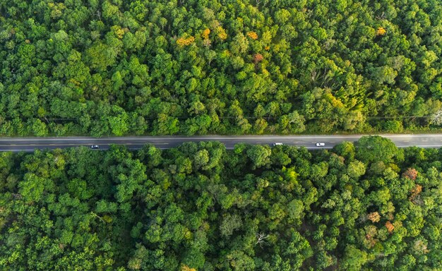 Photo top view road and forest car going through forest view from above