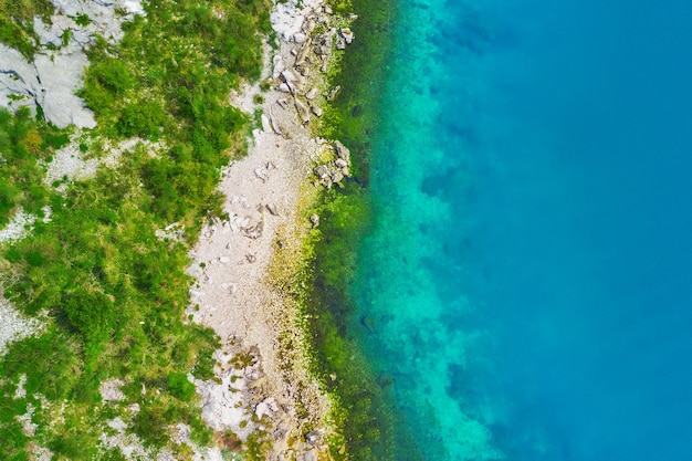 Top view of a rocky seashore with green plants