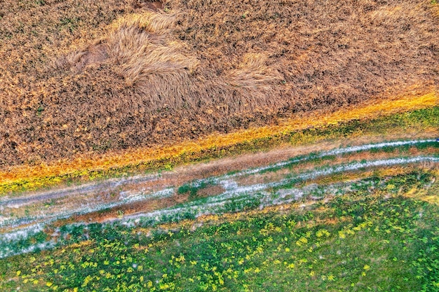 Top view of the rural landscape Wheat field dirt road and virgin lands