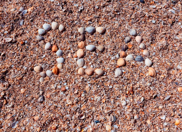 Top view of sandy beach with colorful shells Word SEA made of shells on the sand