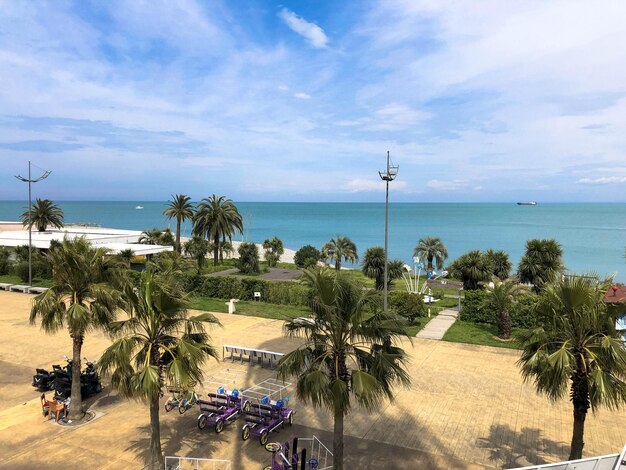 Top view of a sandy beach with sand green palm trees and bicycles on a tropical warm summer