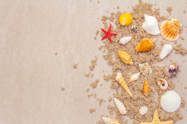 Top view of seashells with sand