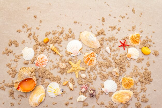 Top view of seashells with sand