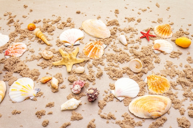 Top view of seashells with sand