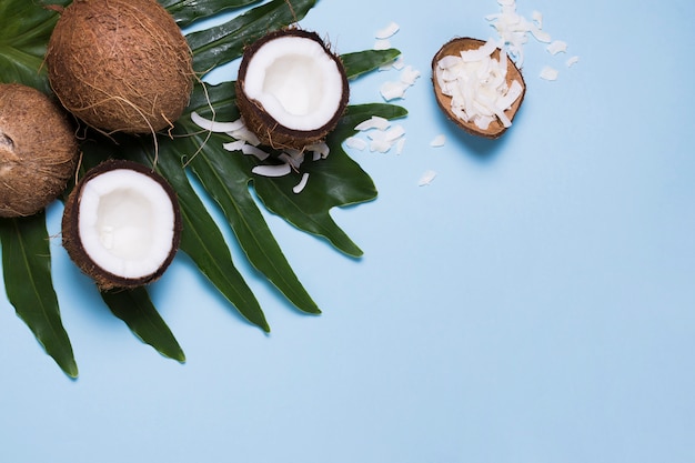 Top view selection of tasty coconuts with copy space