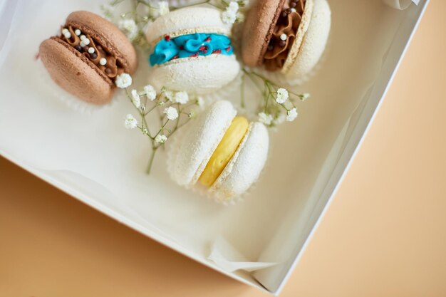 Top view set of different french cookies macaroons cake macarons with flowers