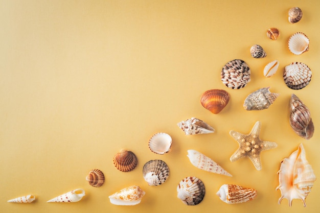 Top view of shells on yellow table Travel vacation concept Dreaming about vacation on a tropical beach Concept decoration tropical beach background copy space