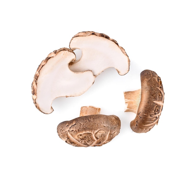 Top view of Shiitake Mushrooms isolated on white background