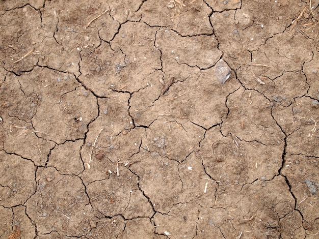 Top view shot of cracked soil