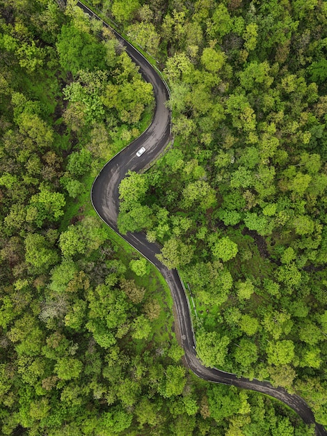 Top view shot of a road in a green landscape during the day