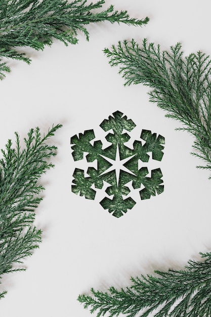 Top view snowflake and branches