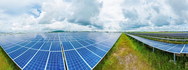 Top view of Solar panels on farm Alternative source of electricity solar panels absorb sunlight as a source of energy to generate electricity creating sustainable energy