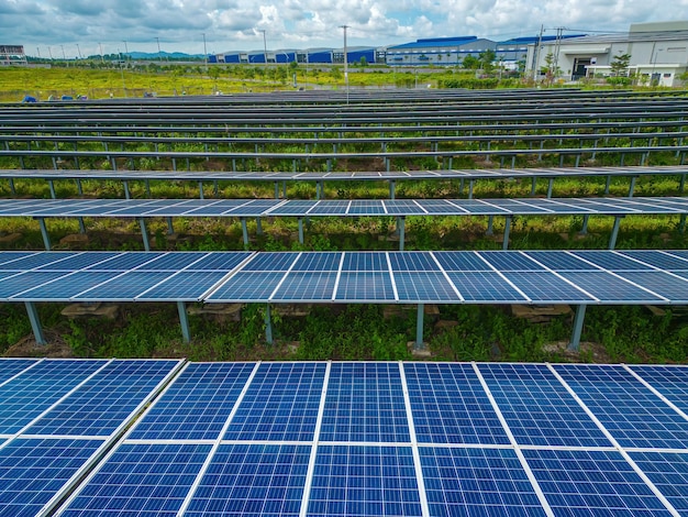 Top view of Solar panels on farm Alternative source of electricity solar panels absorb sunlight as a source of energy to generate electricity creating sustainable energy