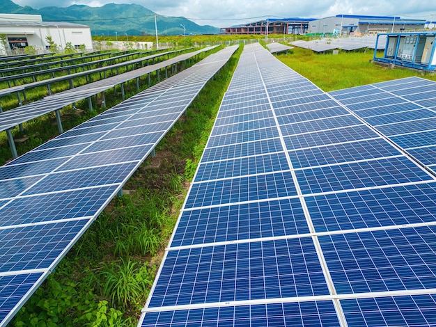 Top view of Solar panels on farm Alternative source of electricity solar panels absorb sunlight as a source of energy to generate electricity creating sustainable energy