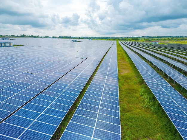 Top view of Solar panels on farm Alternative source of electricity solar panels absorb sunlight as a source of energy to generate electricity creating sustainable energy