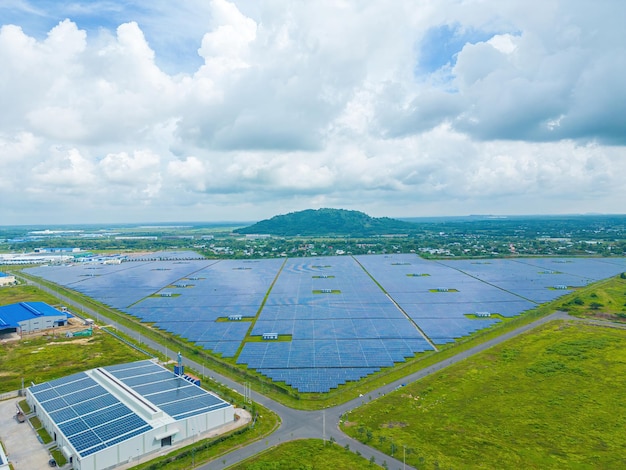 Top view of Solar panels on farm Alternative source of electricity solar panels absorb sunlight as a source of energy to generate electricity creating sustainable energy