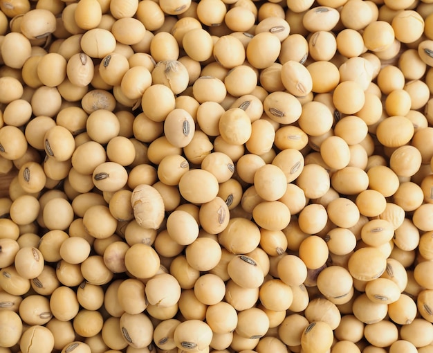 Top view of soybean texture nature background. nature food