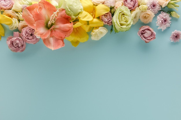 Top view of spring flowers on blue background