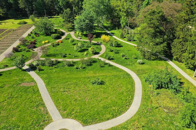 Top view of the spring Minsk Botanical Garden Belarus